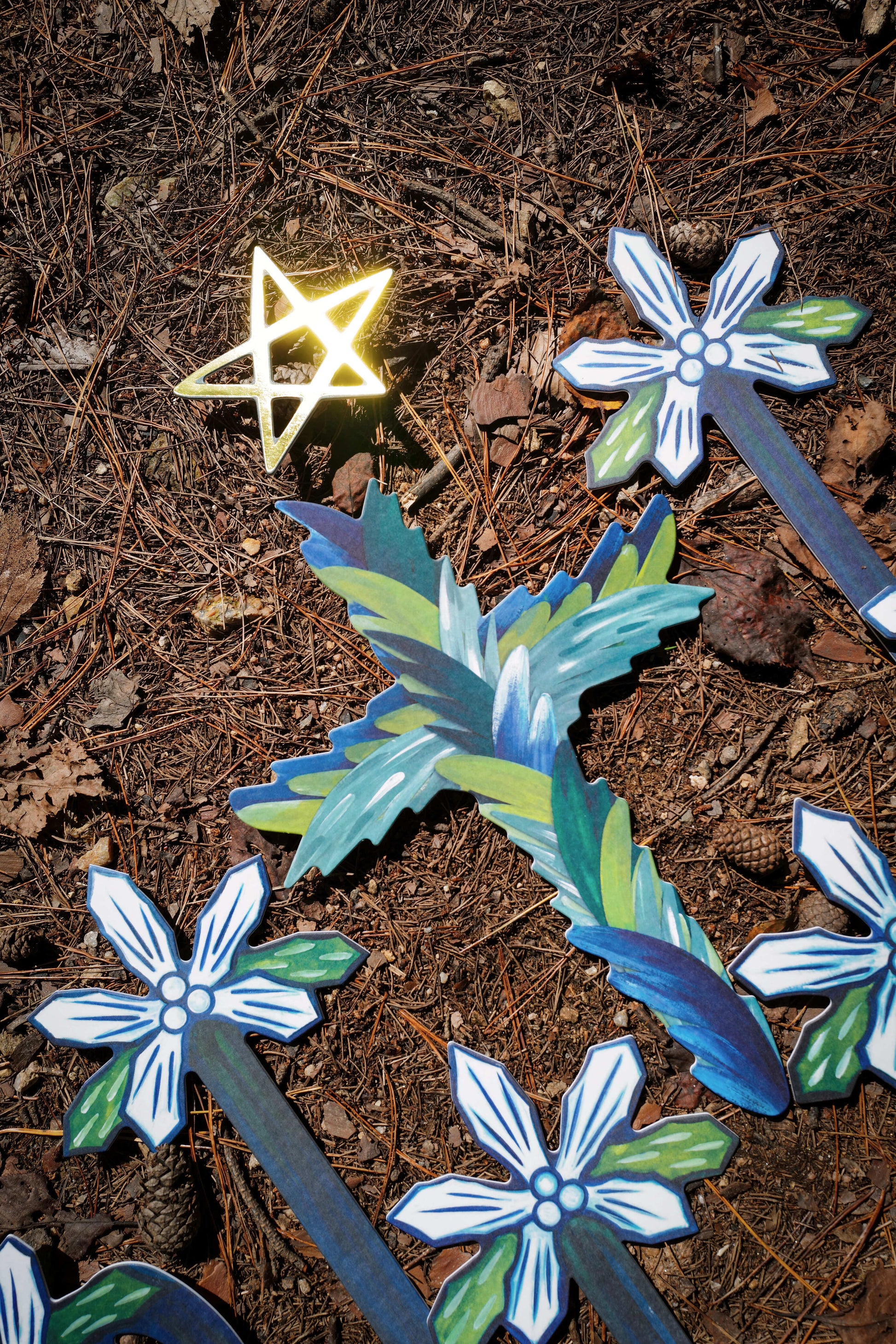 Long Long Time Flower: Christmas Limited Edition (11월 1일 오전 11시 Open)