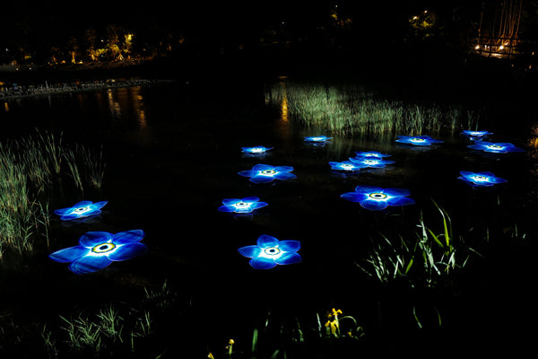 [𝐏𝐫𝐨𝐣𝐞𝐜𝐭] 나난 x  통일부 / 세 송이 물망초의 정원