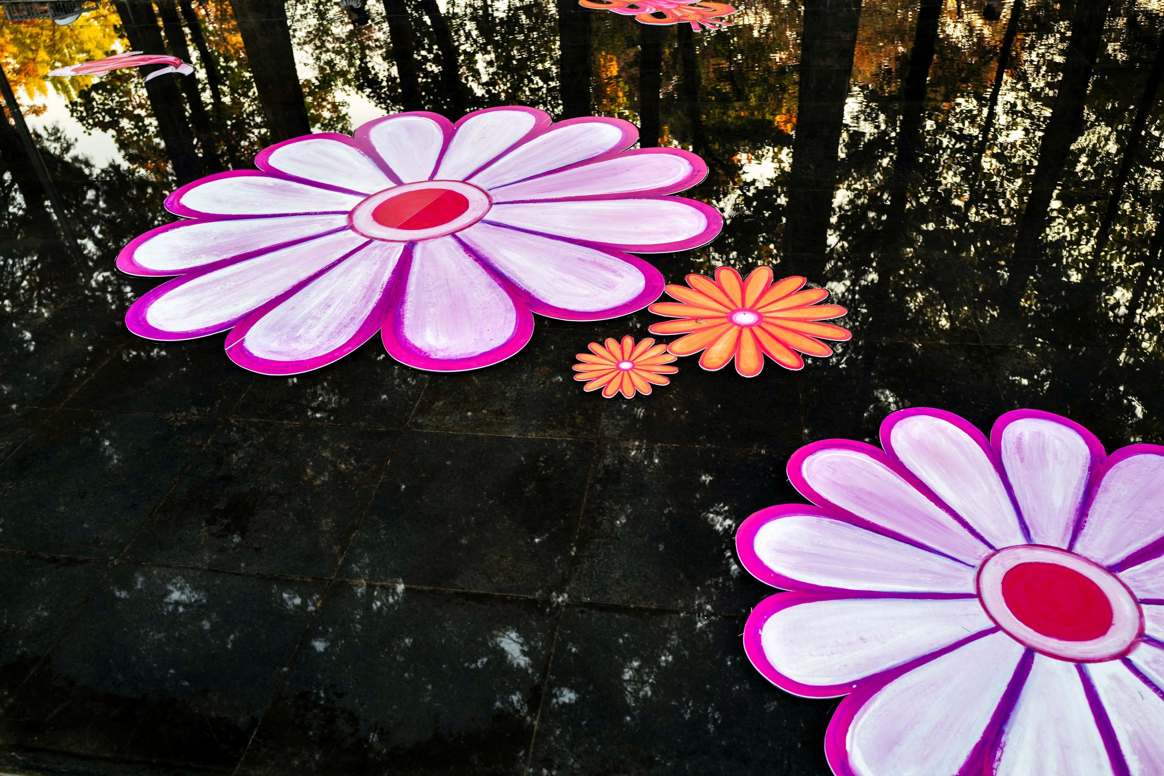 [𝐒𝐩𝐚𝐭𝐢𝐚𝐥 𝐀𝐫𝐭 𝐃𝐞𝐬𝐢𝐠𝐧] 서울숲 거울연못 X 나난