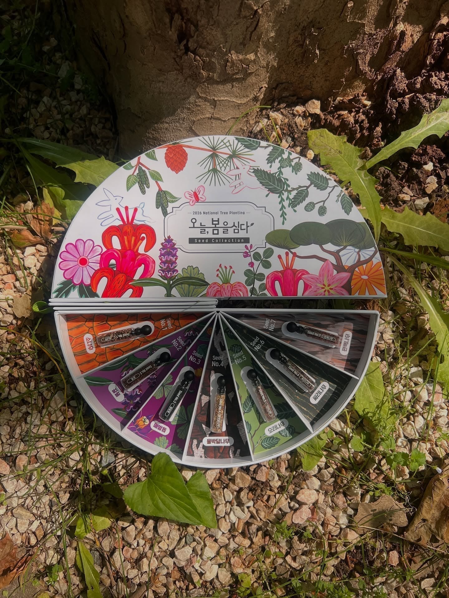 [𝐂𝐨𝐥𝐥𝐚𝐛𝐨𝐫𝐚𝐭𝐢𝐯𝐞 𝐏𝐫𝐨𝐣𝐞𝐜𝐭] 산림청 x 나난 <오늘, 봄을 심다> 캠페인