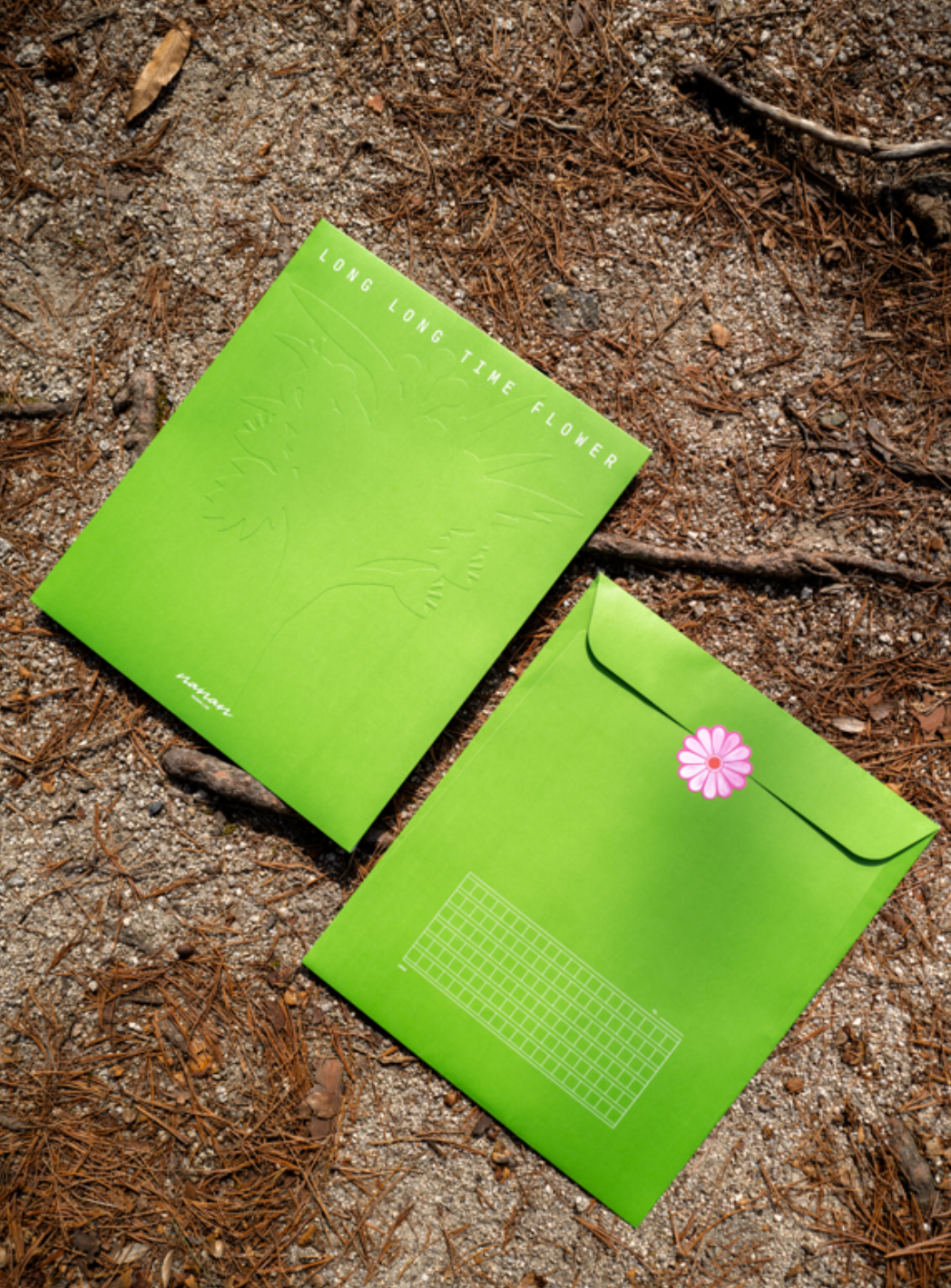Long Long Time Flower - 감사 에디션