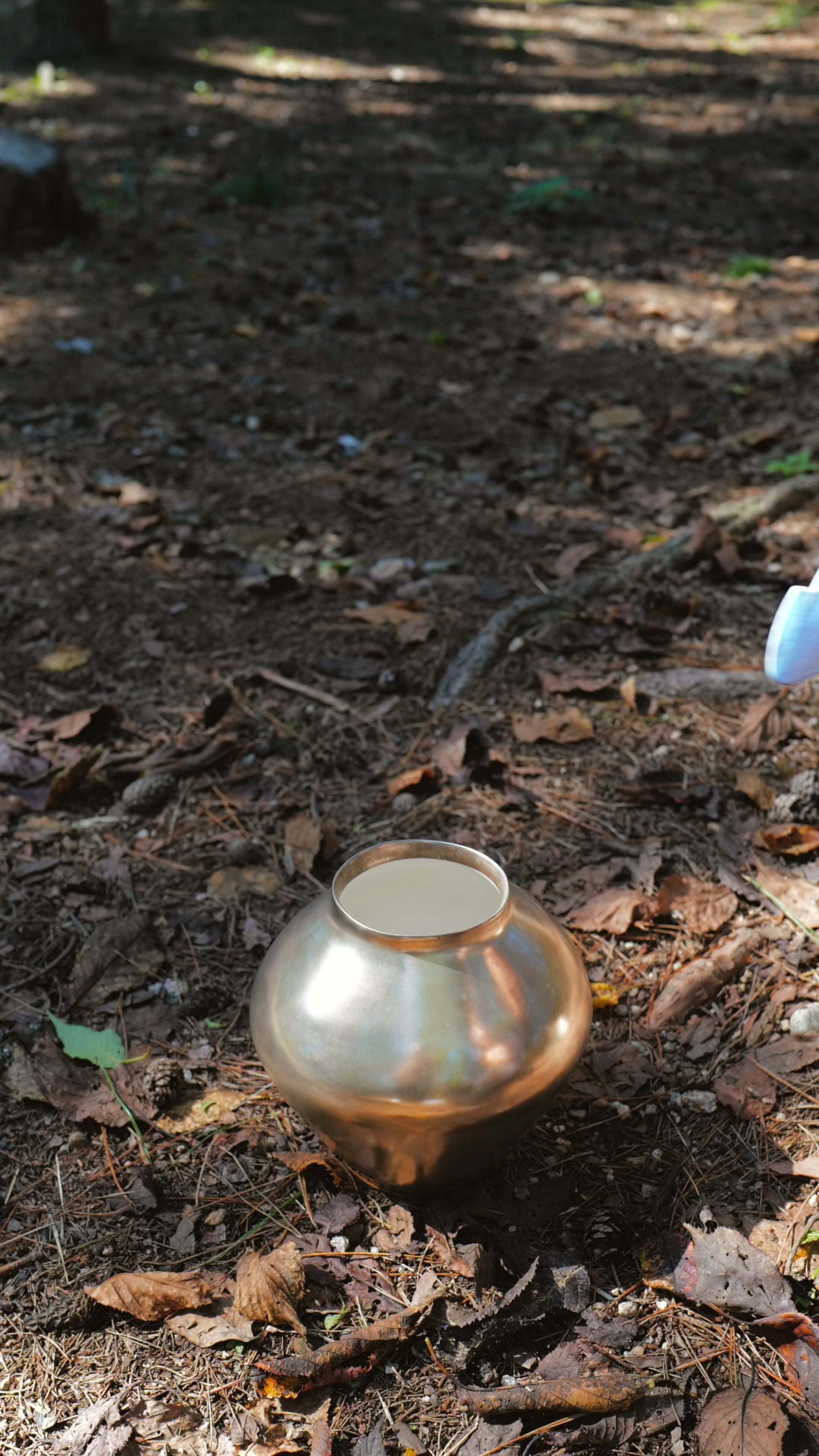 Long Long Time Flower: Christmas Limited Edition (11월 1일 오전 11시 Open)